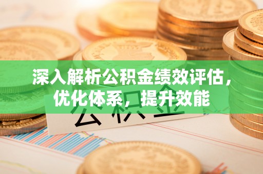 玛纳斯深入解析公积金绩效评估，优化体系，提升效能