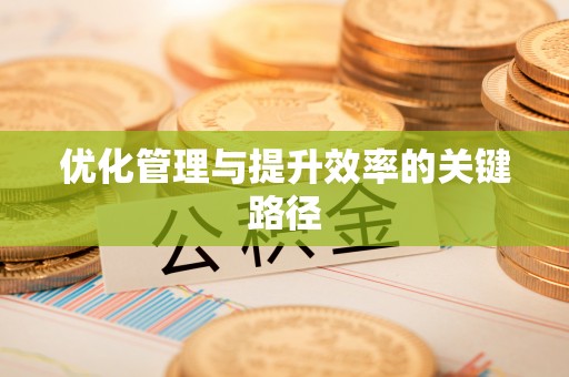 玛纳斯优化管理与提升效率的关键路径