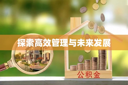 玛纳斯探索高效管理与未来发展
