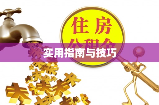 玛纳斯实用指南与技巧