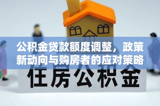 玛纳斯公积金贷款额度调整，政策新动向与购房者的应对策略