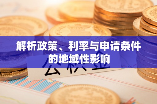 玛纳斯解析政策、利率与申请条件的地域性影响