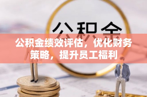 玛纳斯公积金绩效评估，优化财务策略，提升员工福利