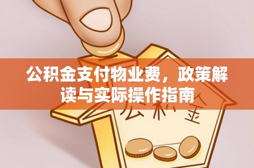 玛纳斯公积金支付物业费，政策解读与实际操作指南
