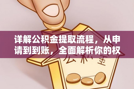 玛纳斯详解公积金提取流程，从申请到到账，全面解析你的权益与操作步骤