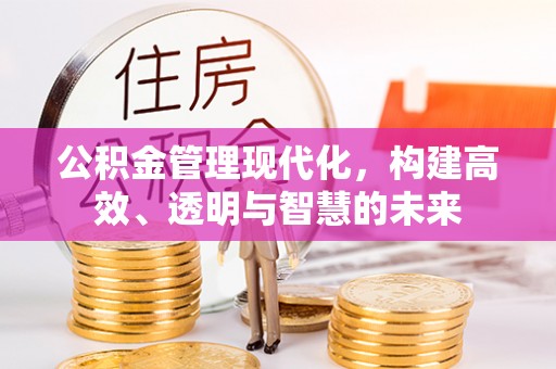 玛纳斯公积金管理现代化，构建高效、透明与智慧的未来