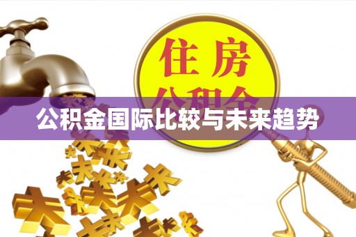 玛纳斯公积金国际比较与未来趋势