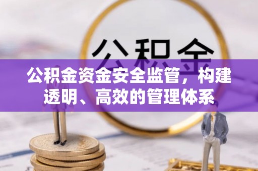 玛纳斯公积金资金安全监管，构建透明、高效的管理体系