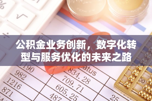 玛纳斯公积金业务创新，数字化转型与服务优化的未来之路