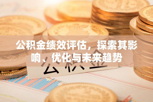 玛纳斯公积金绩效评估，探索其影响、优化与未来趋势