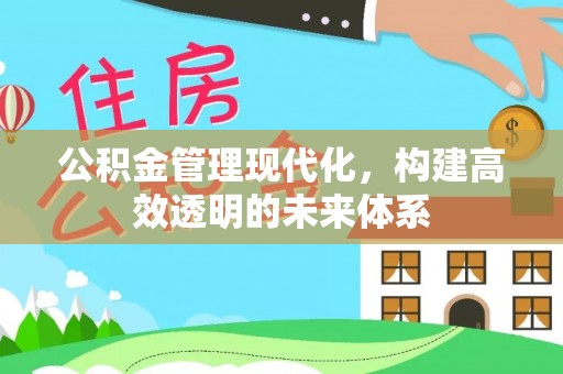 玛纳斯公积金管理现代化，构建高效透明的未来体系