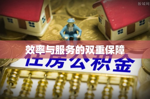 玛纳斯效率与服务的双重保障