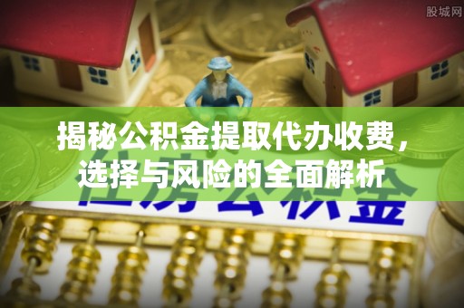 玛纳斯揭秘公积金提取代办收费，选择与风险的全面解析