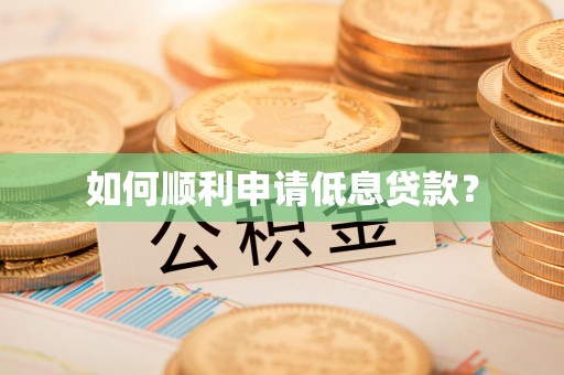 玛纳斯如何顺利申请低息贷款？