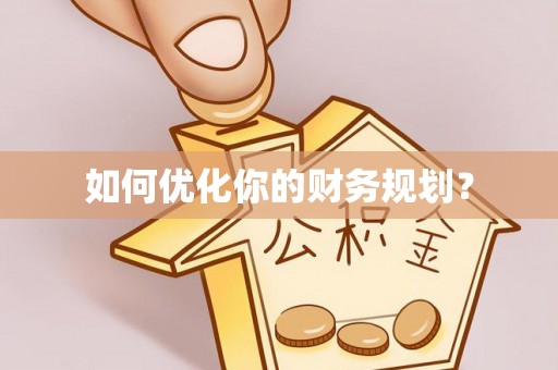 玛纳斯如何优化你的财务规划？