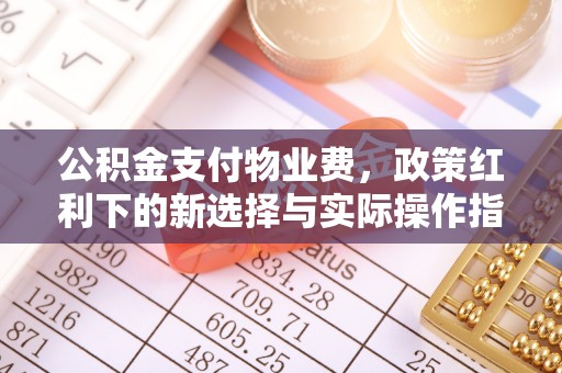 玛纳斯公积金支付物业费，政策红利下的新选择与实际操作指南