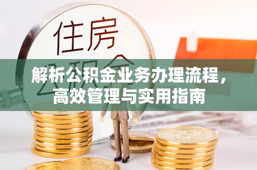 玛纳斯解析公积金业务办理流程，高效管理与实用指南