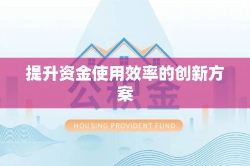 玛纳斯提升资金使用效率的创新方案