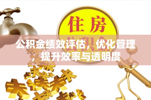 玛纳斯公积金绩效评估，优化管理，提升效率与透明度