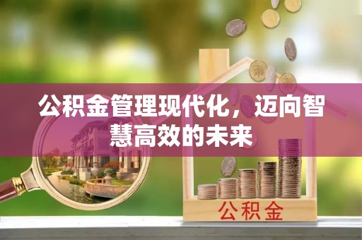 玛纳斯公积金管理现代化，迈向智慧高效的未来