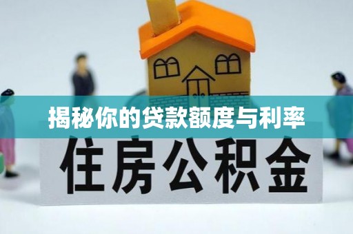 玛纳斯揭秘你的贷款额度与利率