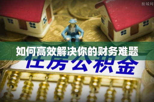 玛纳斯如何高效解决你的财务难题