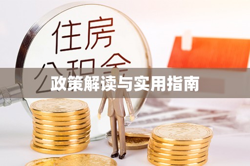 玛纳斯政策解读与实用指南