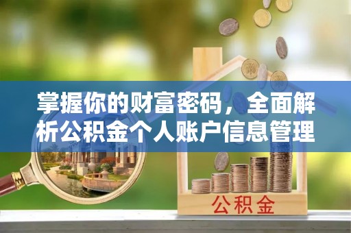 玛纳斯掌握你的财富密码，全面解析公积金个人账户信息管理