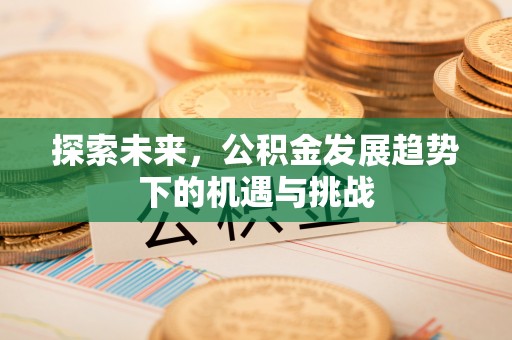 玛纳斯探索未来，公积金发展趋势下的机遇与挑战