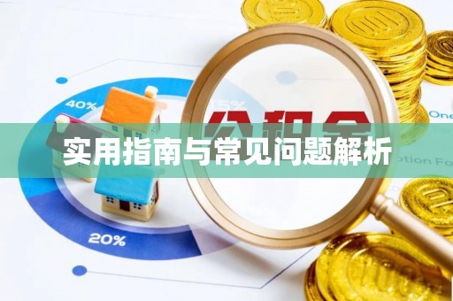 玛纳斯实用指南与常见问题解析