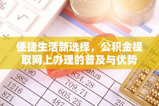 玛纳斯便捷生活新选择，公积金提取网上办理的普及与优势