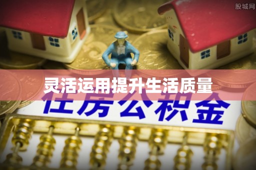 玛纳斯灵活运用提升生活质量