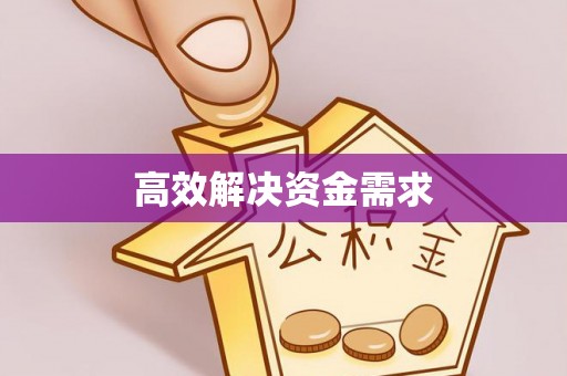 玛纳斯高效解决资金需求