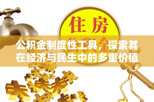 玛纳斯公积金制度性工具，探索其在经济与民生中的多重价值