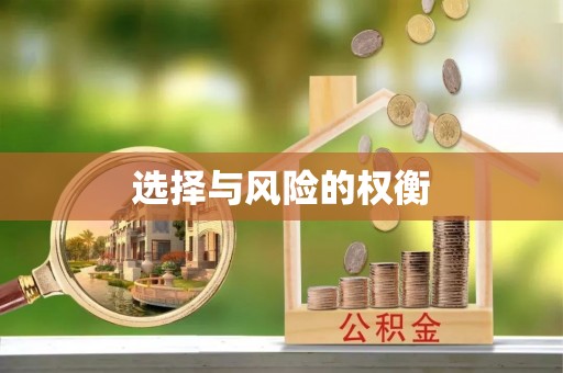 玛纳斯选择与风险的权衡