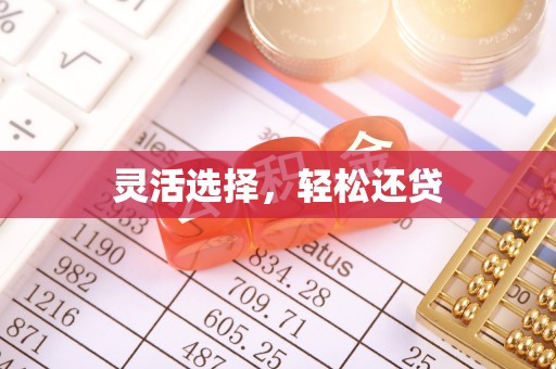 玛纳斯灵活选择，轻松还贷