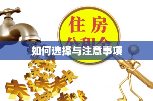 玛纳斯如何选择与注意事项