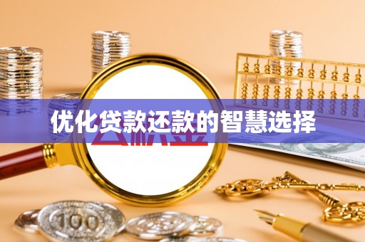 玛纳斯优化贷款还款的智慧选择
