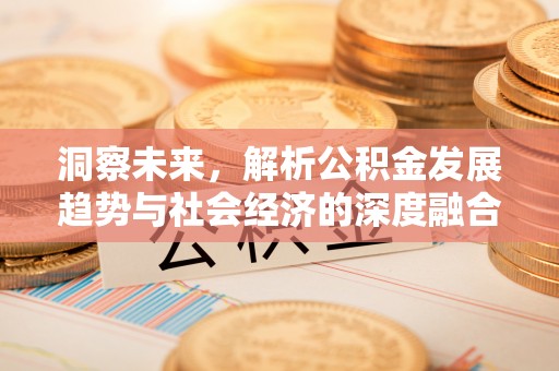 玛纳斯洞察未来，解析公积金发展趋势与社会经济的深度融合