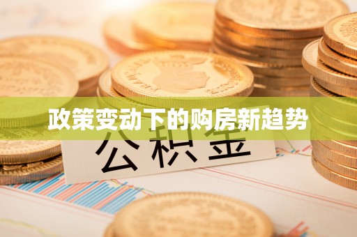 玛纳斯政策变动下的购房新趋势