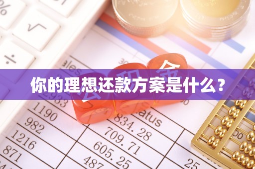 玛纳斯你的理想还款方案是什么？