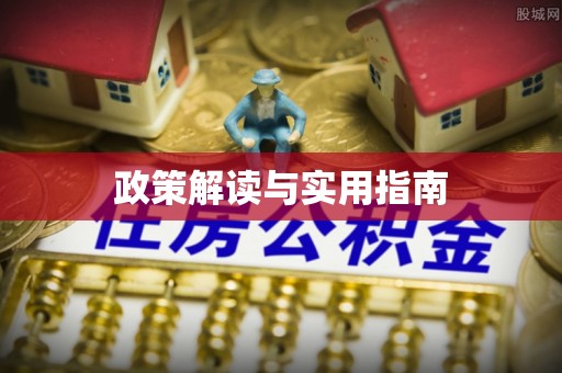 玛纳斯政策解读与实用指南
