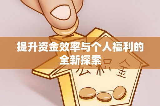 玛纳斯提升资金效率与个人福利的全新探索