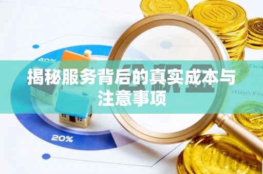 玛纳斯揭秘服务背后的真实成本与注意事项
