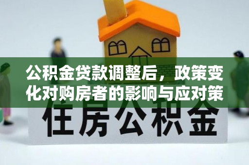 玛纳斯公积金贷款调整后，政策变化对购房者的影响与应对策略
