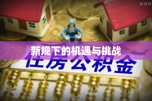 玛纳斯新规下的机遇与挑战