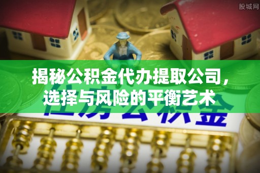 玛纳斯揭秘公积金代办提取公司，选择与风险的平衡艺术