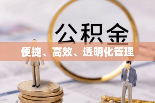 玛纳斯便捷、高效、透明化管理