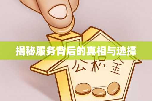 玛纳斯揭秘服务背后的真相与选择