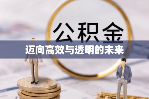 玛纳斯迈向高效与透明的未来